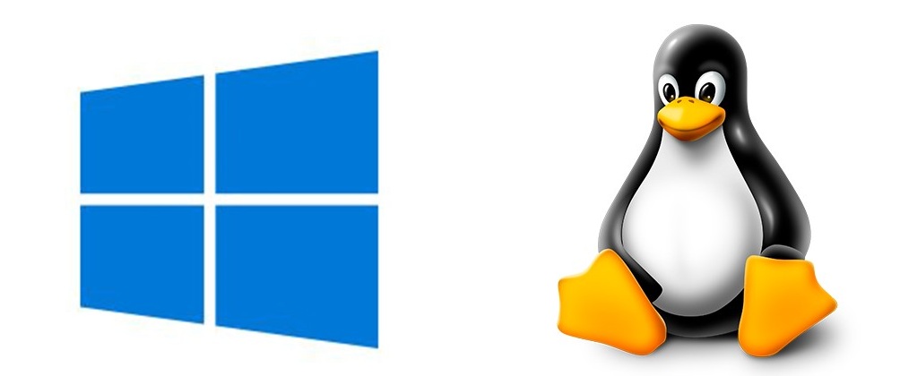 windows.jpg