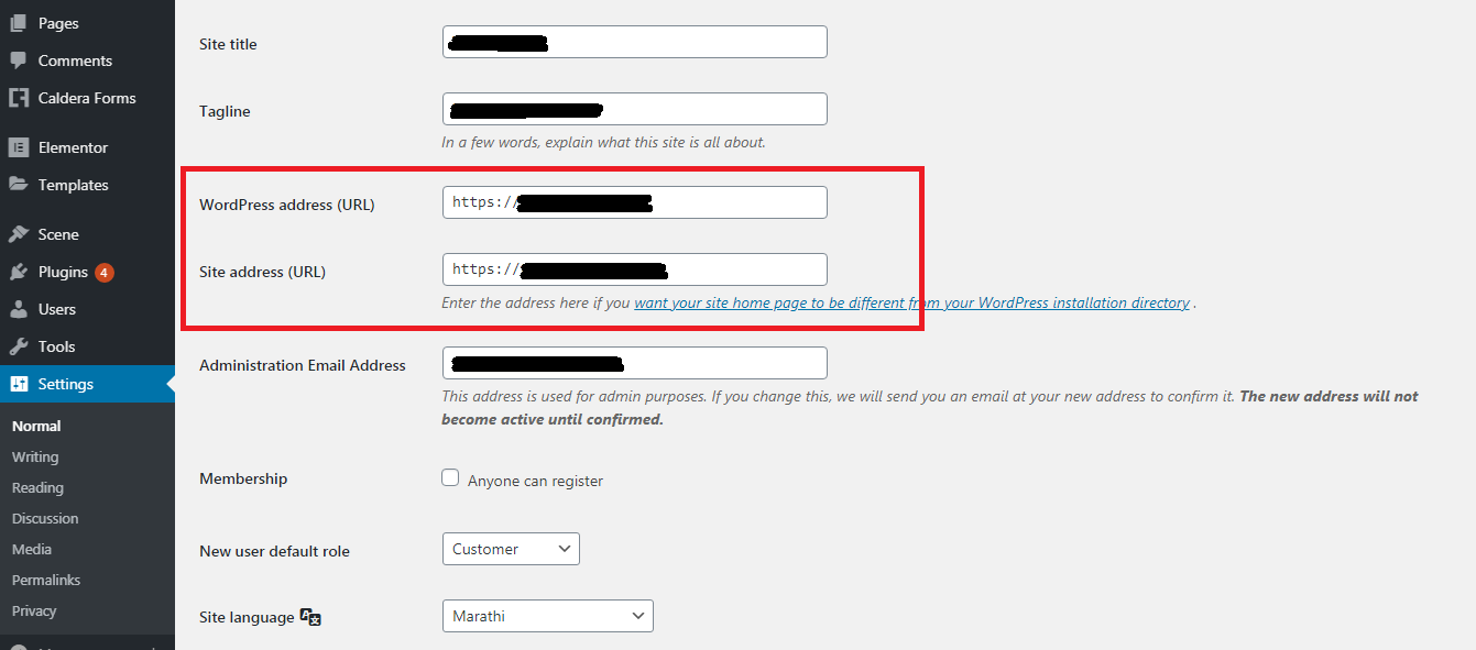 wordpress.png