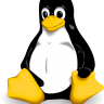 How to manually add DNS of new domain in Linux?